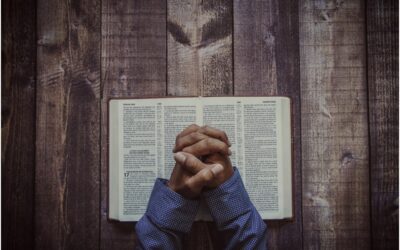 The Testimonies of the Son of God Part 2